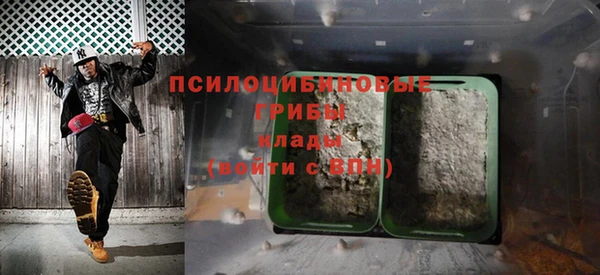 спайс Козловка