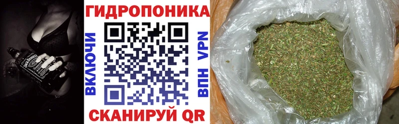 Шишки марихуана марихуана  Купить закладки  Котельнич 